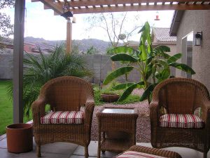 enjoying my back patio in phoenix